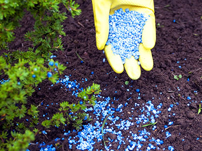Fertilizing and property Upkeep and Maintenance services provided by