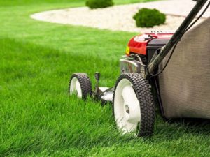 Lawn Mowing and property Upkeep services provided by ZNT ...