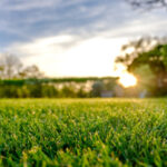 Aeration, Dethatching, overseeding and other Lawn and Yard care services from ZNT Property Services.